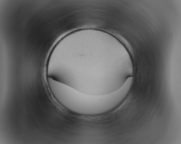 X0000086751340200705111647