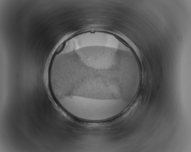 X0000086751341200705111647