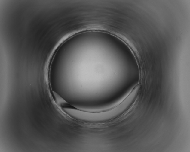 X0000086751342200705111647