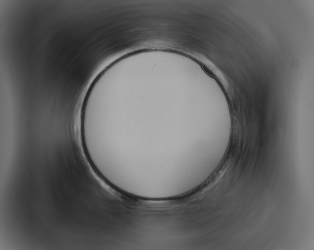 X0000086751343200705111647