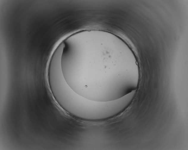 X0000086751344200705111647