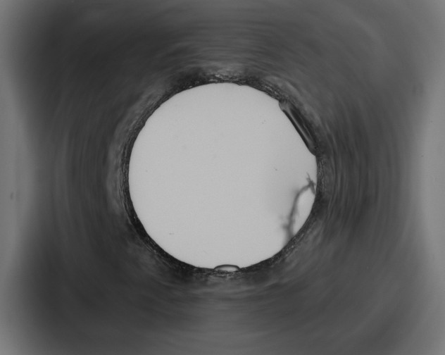 X0000086751345200705111646