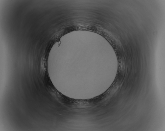 X0000086751346200705111646