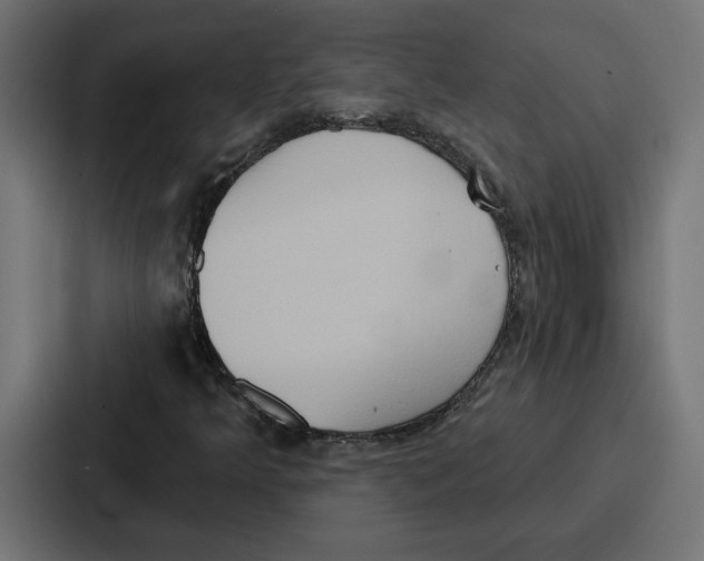 X0000086751349200705111646