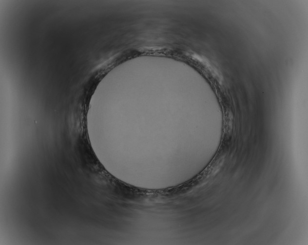 X0000086751350200705111646