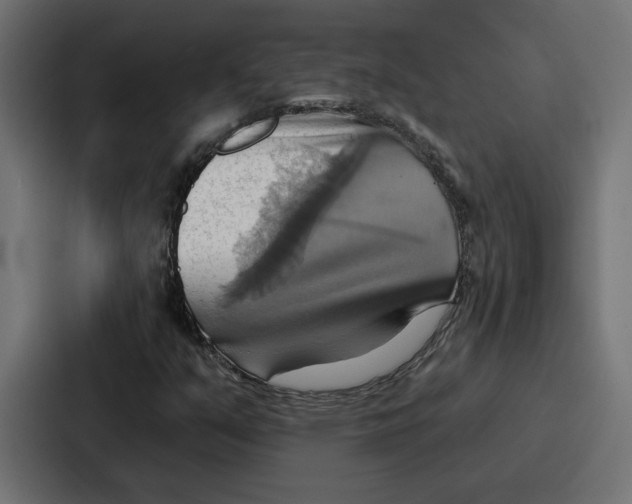 X0000086751351200705111646