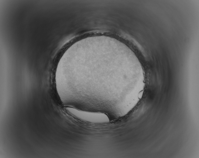 X0000086751352200705111646