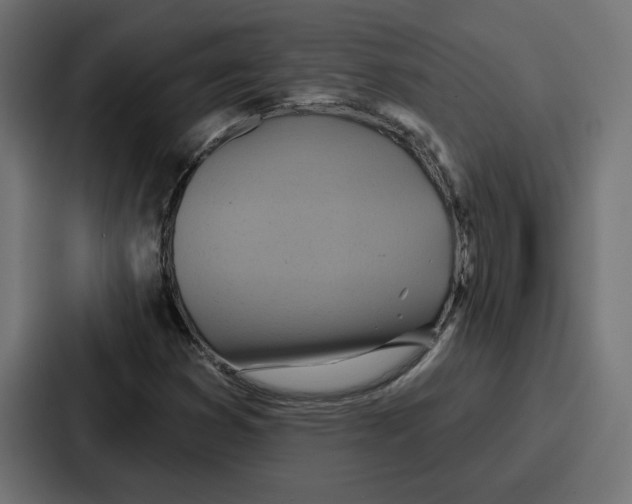 X0000086751353200705111646