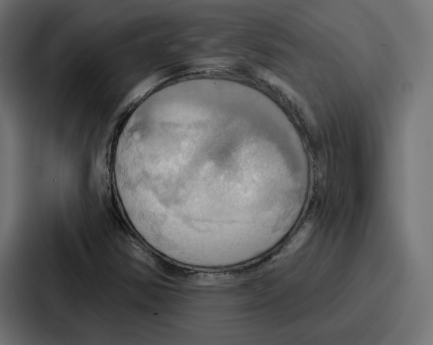 X0000086751354200705111646