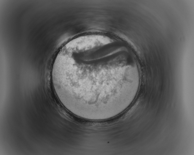 X0000086751355200705111646