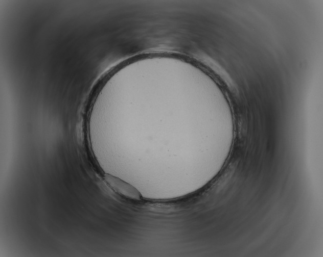 X0000086751356200705111646