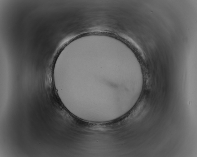 X0000086751358200705111646
