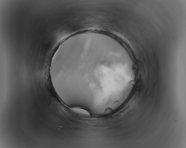 X0000086751359200705111646