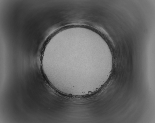 X0000086751360200705111646
