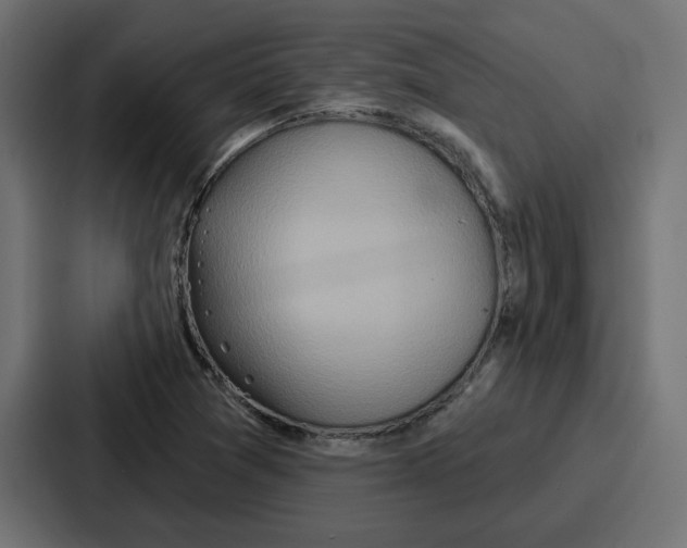 X0000086751361200705111646