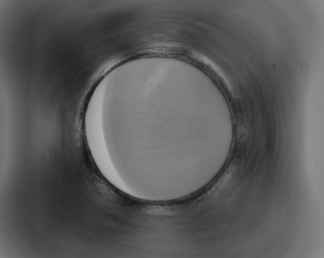 X0000086751362200705111646