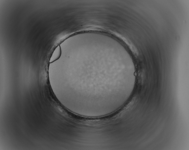 X0000086751363200705111646
