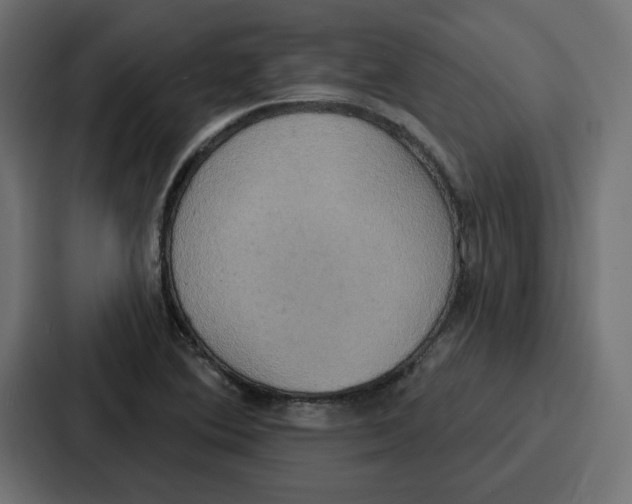 X0000086751364200705111646