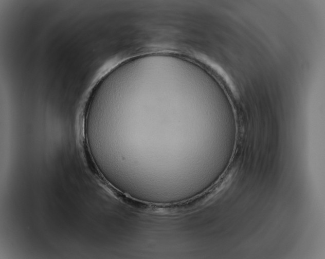 X0000086751365200705111646