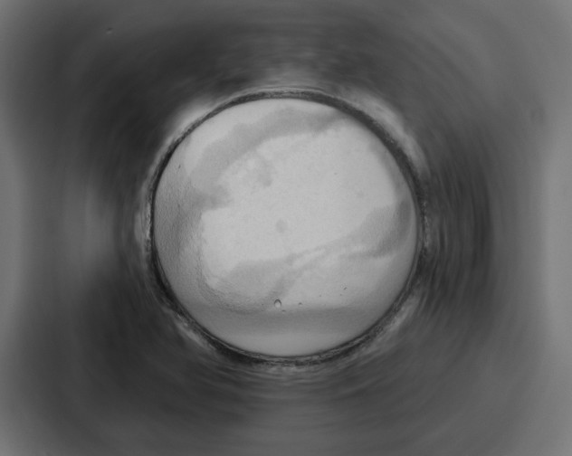 X0000086751366200705111646