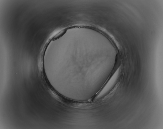X0000086751367200705111646