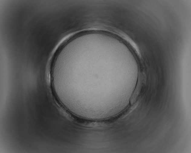 X0000086751368200705111646