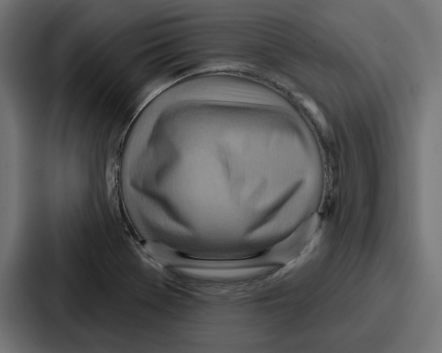 X0000086751369200705111646