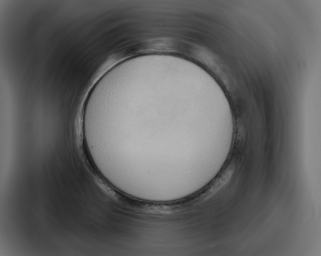 X0000086751370200705111646