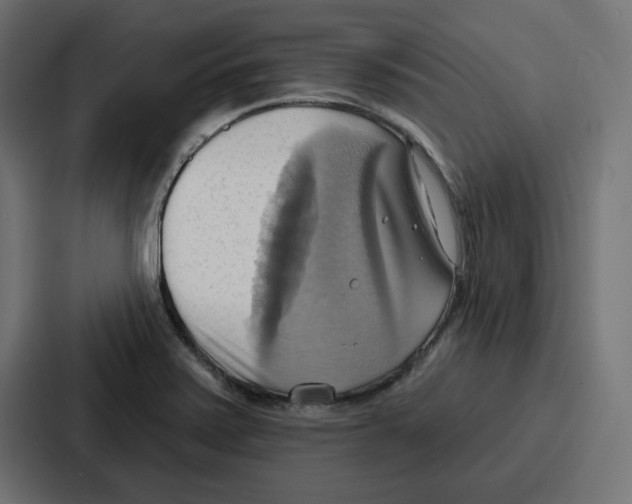 X0000086751371200705111646