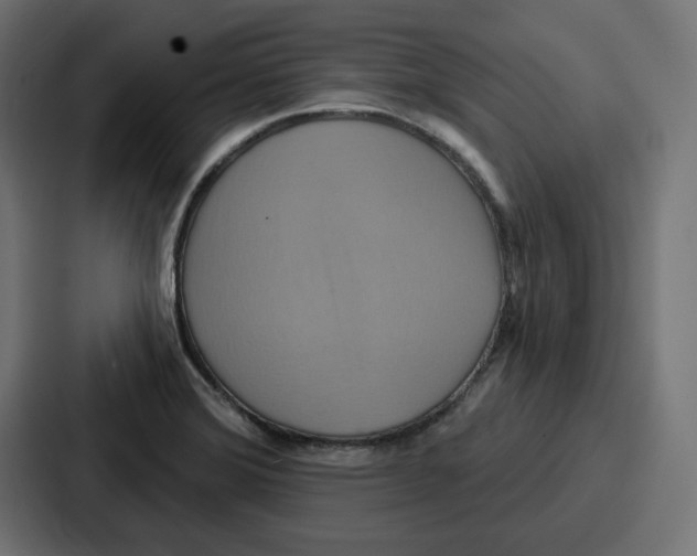 X0000086751372200705111646