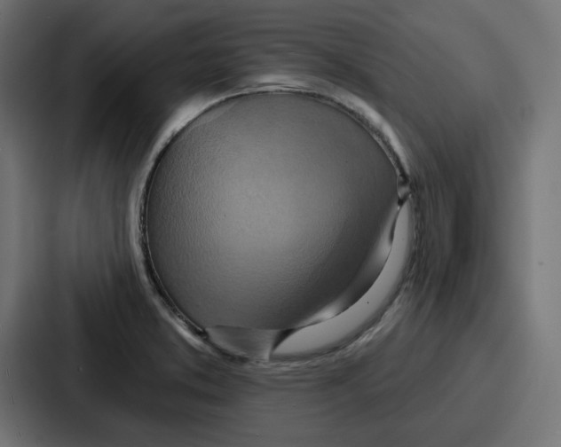 X0000086751373200705111646