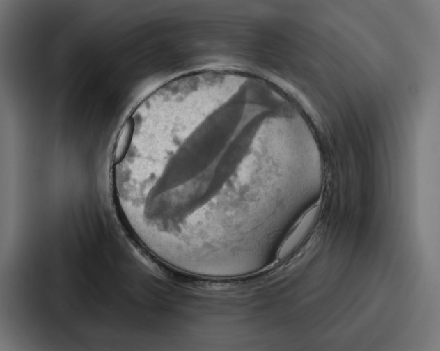 X0000086751375200705111646