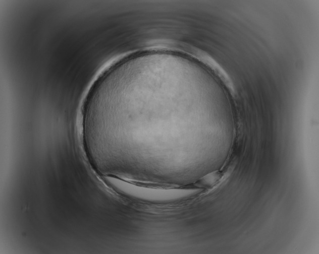 X0000086751376200705111646