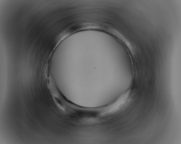 X0000086751377200705111646