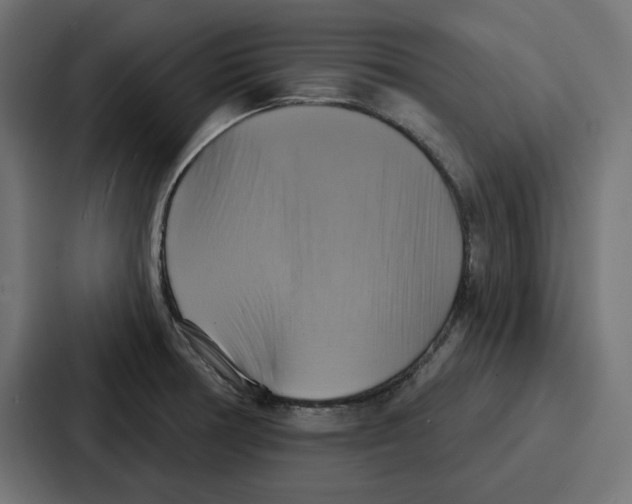 X0000086751378200705111646