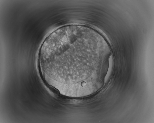 X0000086751379200705111646