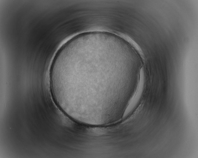 X0000086751380200705111646