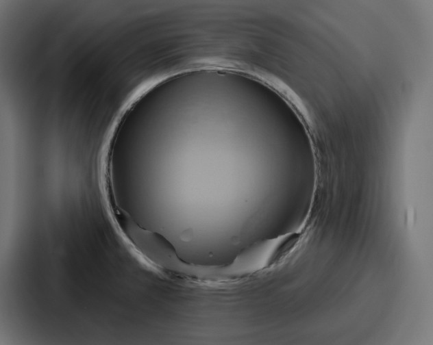 X0000086751381200705111646