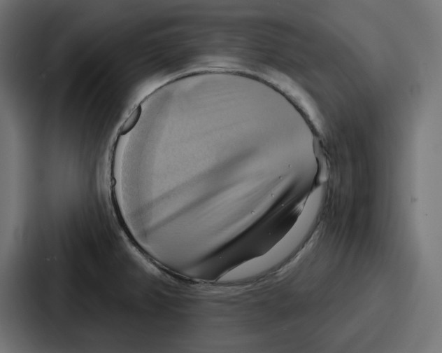 X0000086751382200705111646