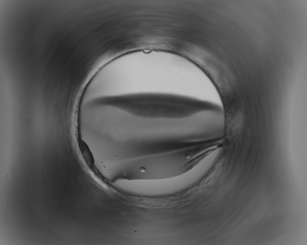 X0000086751383200705111646