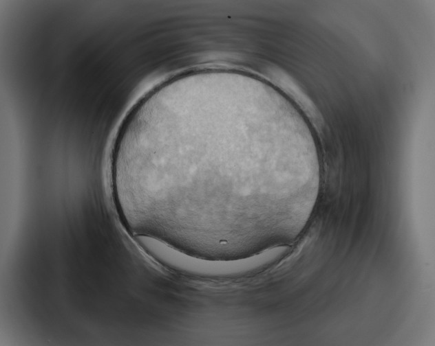 X0000086751384200705111646