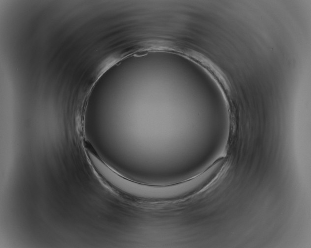 X0000086751385200705111646