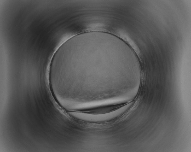 X0000086751386200705111646