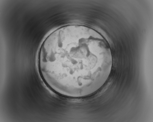 X0000086751387200705111646