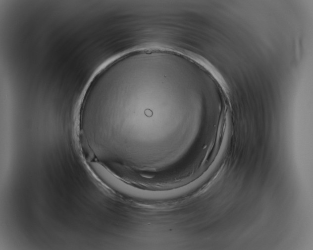 X0000086751388200705111646