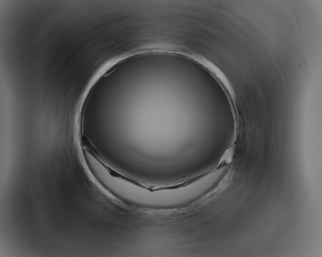 X0000086751389200705111646