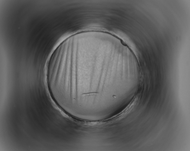 X0000086751390200705111646