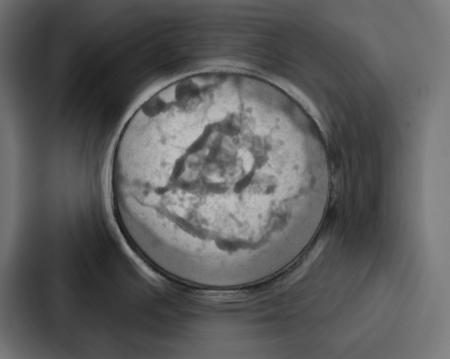 X0000086751391200705111646