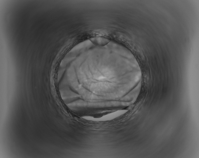 X0000086751393200705111645