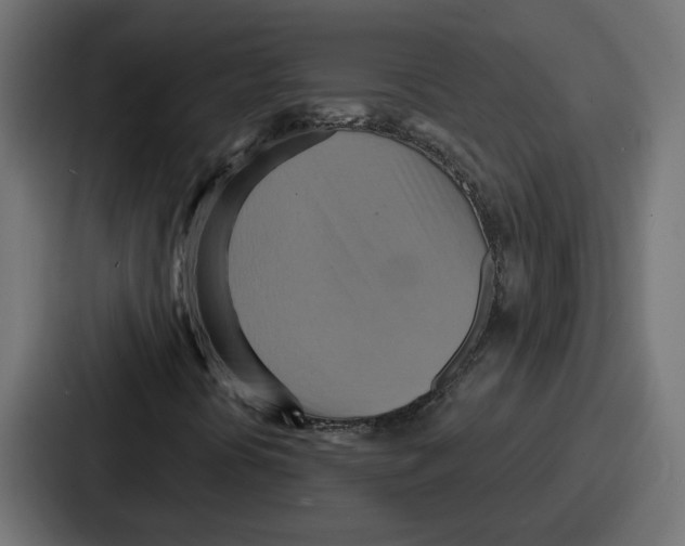 X0000086751394200705111645